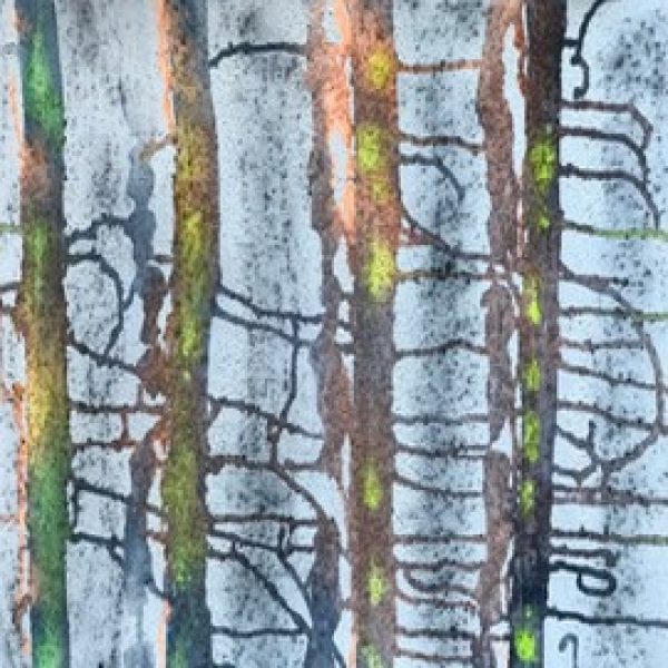Canadian Forest