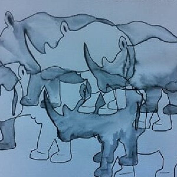 Rhinos